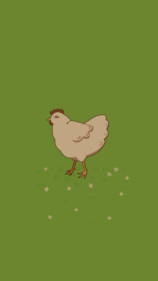 Chicken Picking GIF