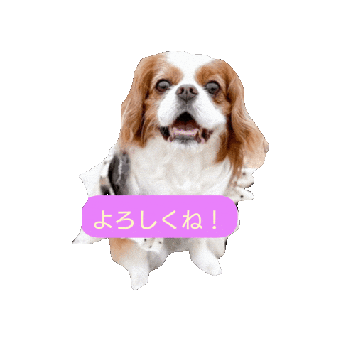 Doggy Sticker