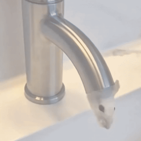 Good Morning Peace GIF