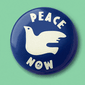 Peace Now