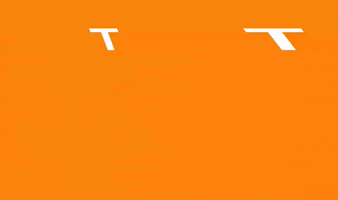 College Orange GIF by Tennessee Athletics