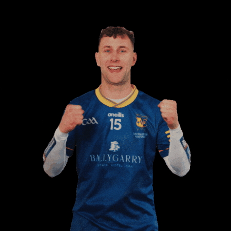 All-Ireland GIF by AIB