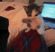 Jk Jm GIF