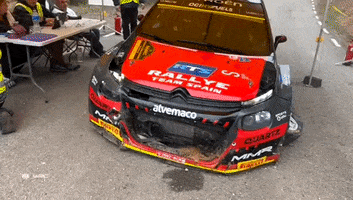 Disappointed Game Over GIF by FIA World Rally Championship