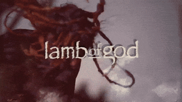 Lamb Of God Festival GIF by KNOTFEST