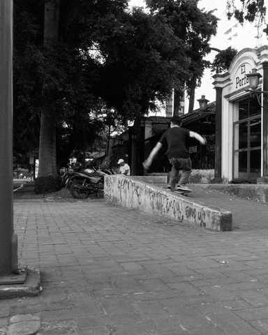 Fish Skateshop GIF