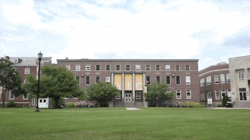 Yellow Jackets Rex GIF by American International College