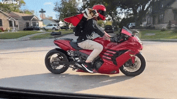 200.gif?cid=fc005b08d994987fdb6e4b91bdf816a29f23149d2e21f7c8&rid=200.gif&ct=g