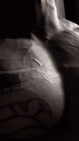 Chest Bodybuilder GIF