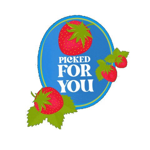 Lielow Fruit Sticker by LieLowMusicFest