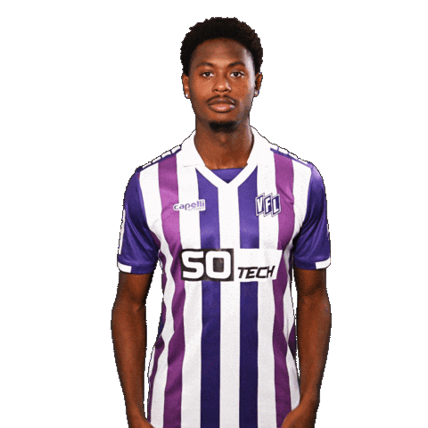 Tor Sieg Sticker by VfLOsnabrueck