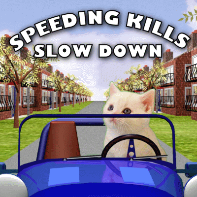 Drive Safely Slow Down GIF