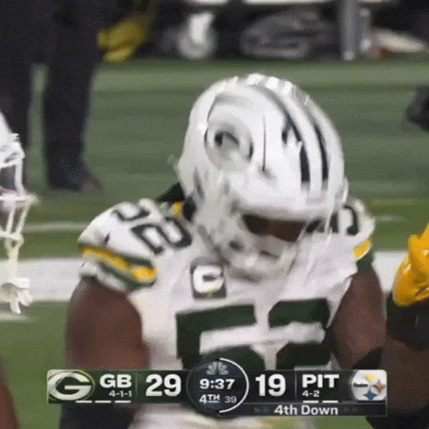 Green Bay Packers Nfl GIF