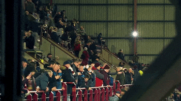 Stadium Supporters GIF by Heart of Midlothian