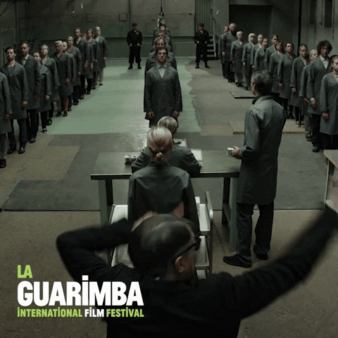 Listen Follow The Rules GIF by La Guarimba Film Festival