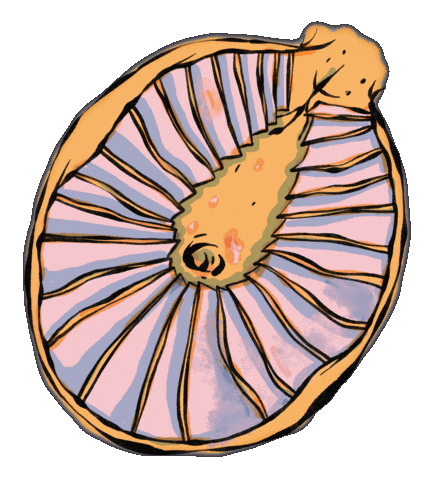 Squeeze Thank You Sticker