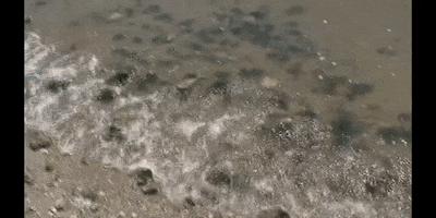 Water Education GIF by DIIMSA Stock