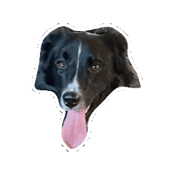 Lehigh Gorge Campground Sticker