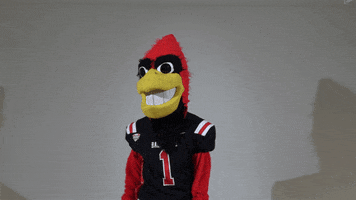 Too Much What GIF by Ball State University