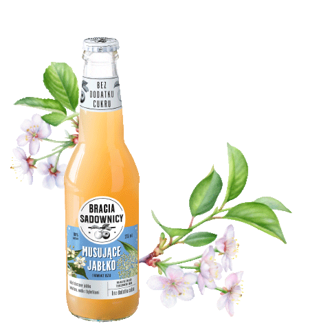 braciasadownicy Sticker