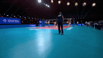 Head Coach Yes GIF by Volleyball World