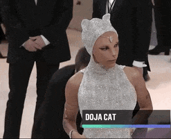 Doja Cat Fashion GIF by E!
