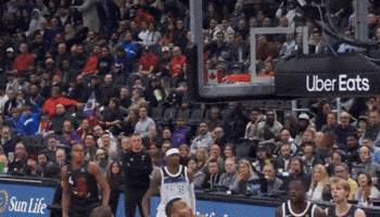 Raptors GIF