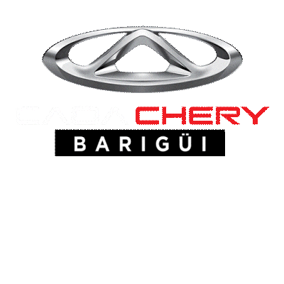 Hyundai Barigui Sticker