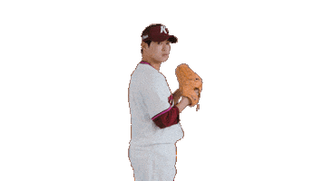 Kbo Sticker by Kiwoom Heroes Baseball Club