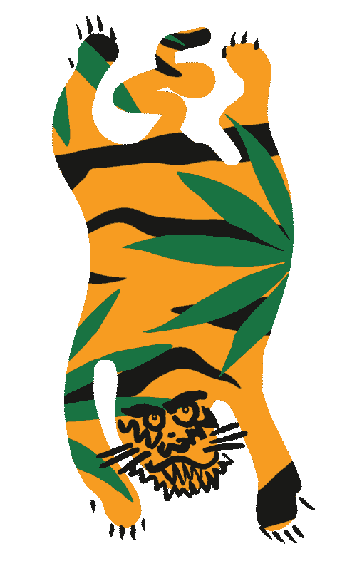 Tiger Quik Sticker by quiksilver