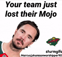 Minnesota Wild Hockey GIF
