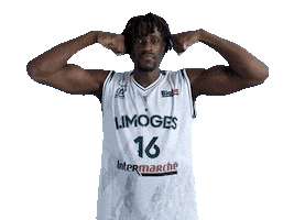 Limoges CSP Sticker