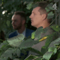 Hide Watching GIF by Hollyoaks