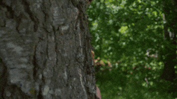 Comedy What GIF by Yle Areena