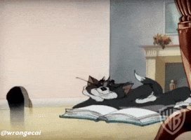 Tom Book GIF