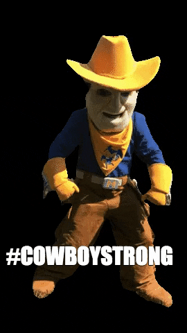 Cowboys GIF by McNeese State University
