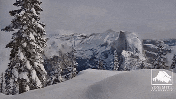 Snow Weather GIF by Storyful