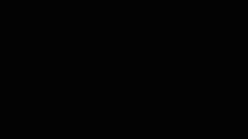 Dale Play Records GIF