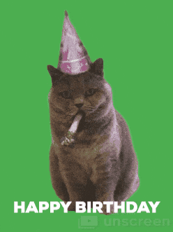 Happy Birthday Funny Cat Gif