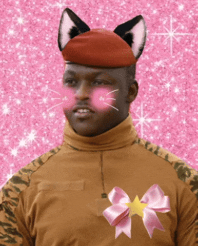 Burkina Faso Mali GIF