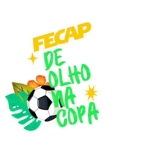 Futebol Copa Sticker by FECAP