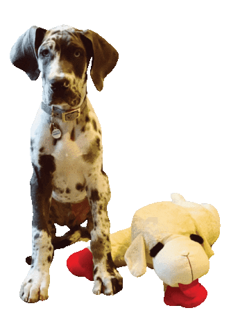 Alchemy Healing Co Sticker