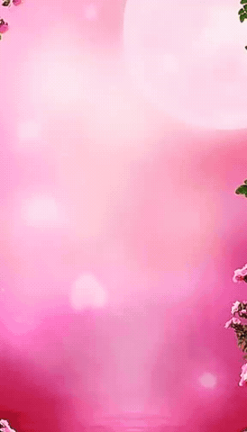 Carlosveras GIF by Deputado Carlos Veras