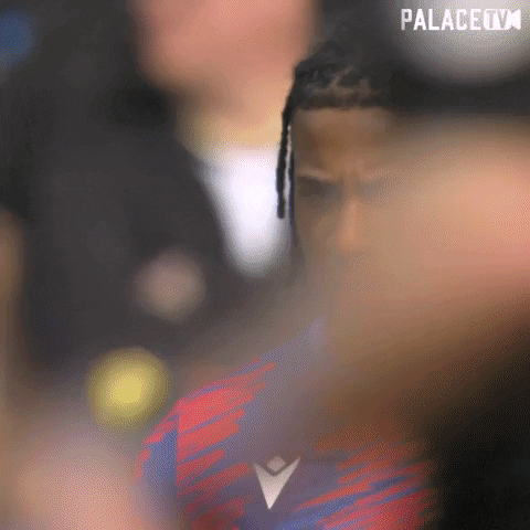 Breathe Premier League GIF by Crystal Palace Football Club