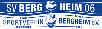 Fan Support GIF by SV Bergheim 1906