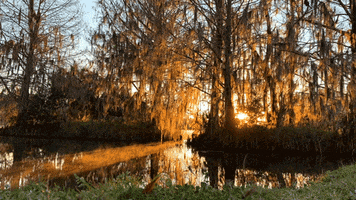 200.gif?cid=fc005b08c04bb9dc2a820bf185e0e42e38a42a4cf1b02cd6&rid=200.gif&ct=g