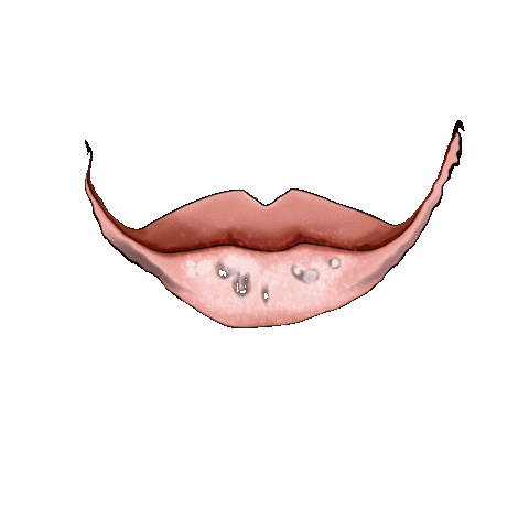 Art Illustration Sticker