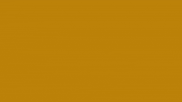 Ft GIF by Florida Tile