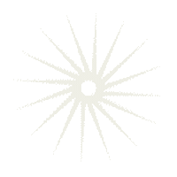 Stajic Sticker