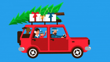 Family Travel GIF by Don't mess with Texas